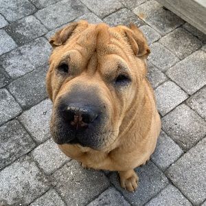 Meet your Posher, Keely